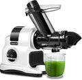 Extracteur de Jus AMZCHEF 80 mm, 150W, Pression à Froid avec Modes Réglables, Blanc