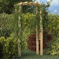 Arche en Treillis en Bois de Pin Imprégné 110x60x210 cm - Structure de Jardin